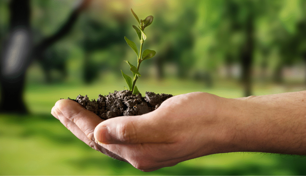 construcao e sustentabilidade